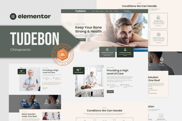 Tudebon – Chiropractic & Physiotherapy Elementor Template Kit