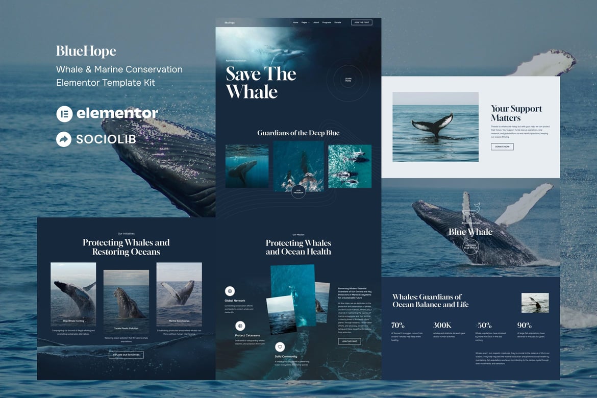 BlueHope – Whale & Marine Conservation Elementor Template Kit